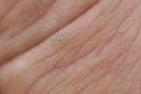 /album/fotogaleria-fotogaleria/a2038-m-jpg/